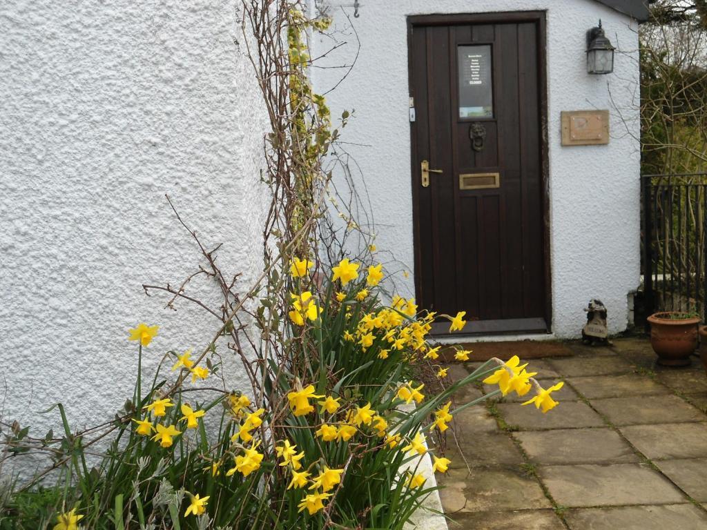 Harvest Home Guest House Tavistock  Exterior foto
